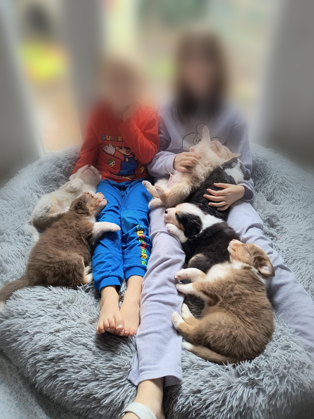 Et voilà ils sont là !!!! Nés ce 19 octobre !!! 8 loulous d'amour