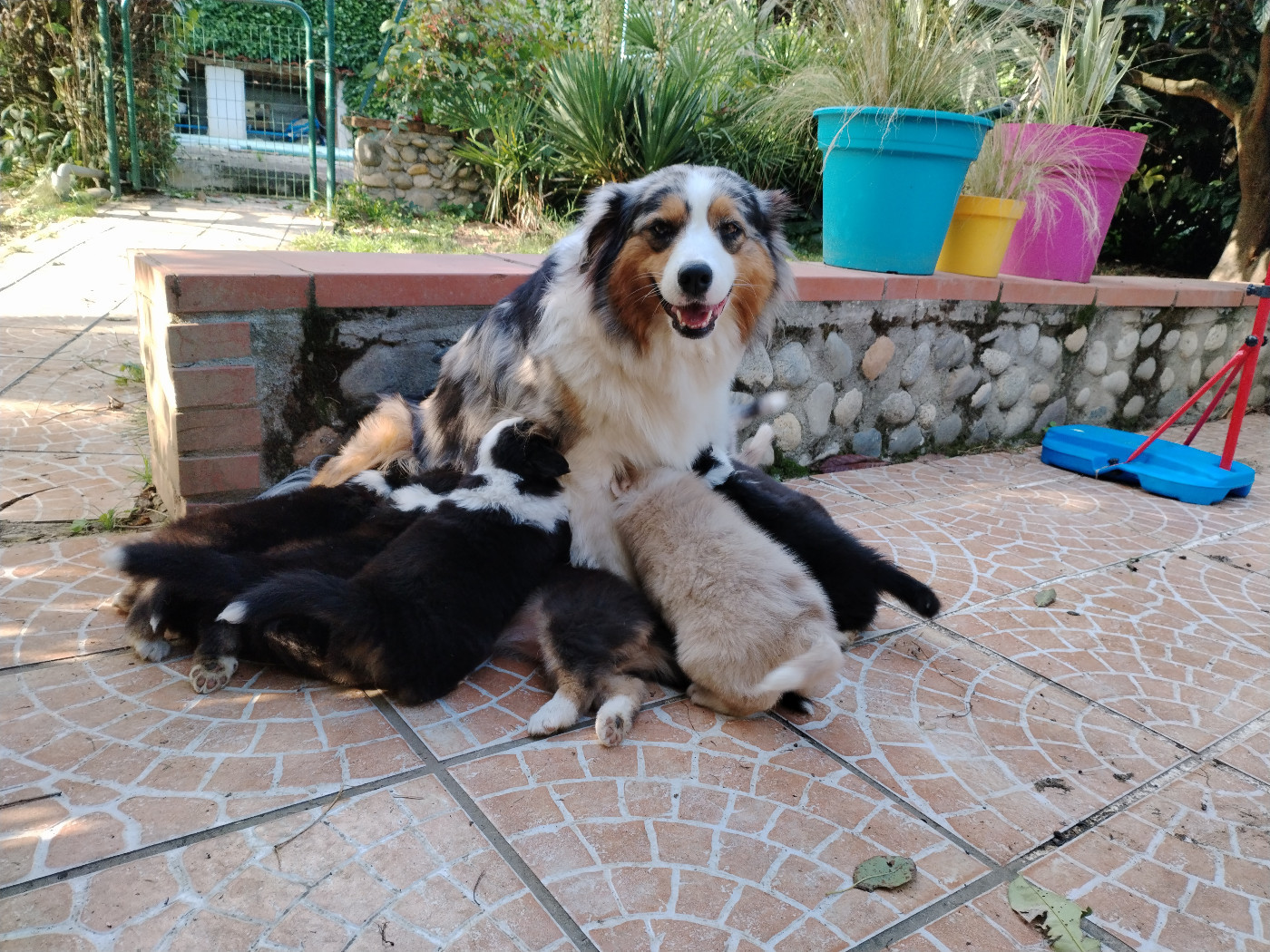 Arrivée de baby's fin mai !!! Youhouuuu !!!